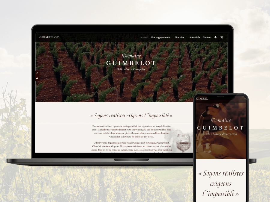Création d’une boutique de vin en ligne pour un vigneron